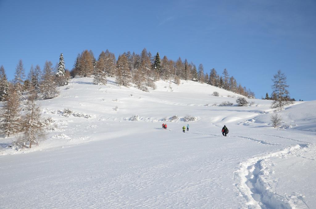 Fotogaléria Zimný výstup na Koľvač, 1.2.2015 (13) Zimný výstup na Koľvač, 1.2.2015